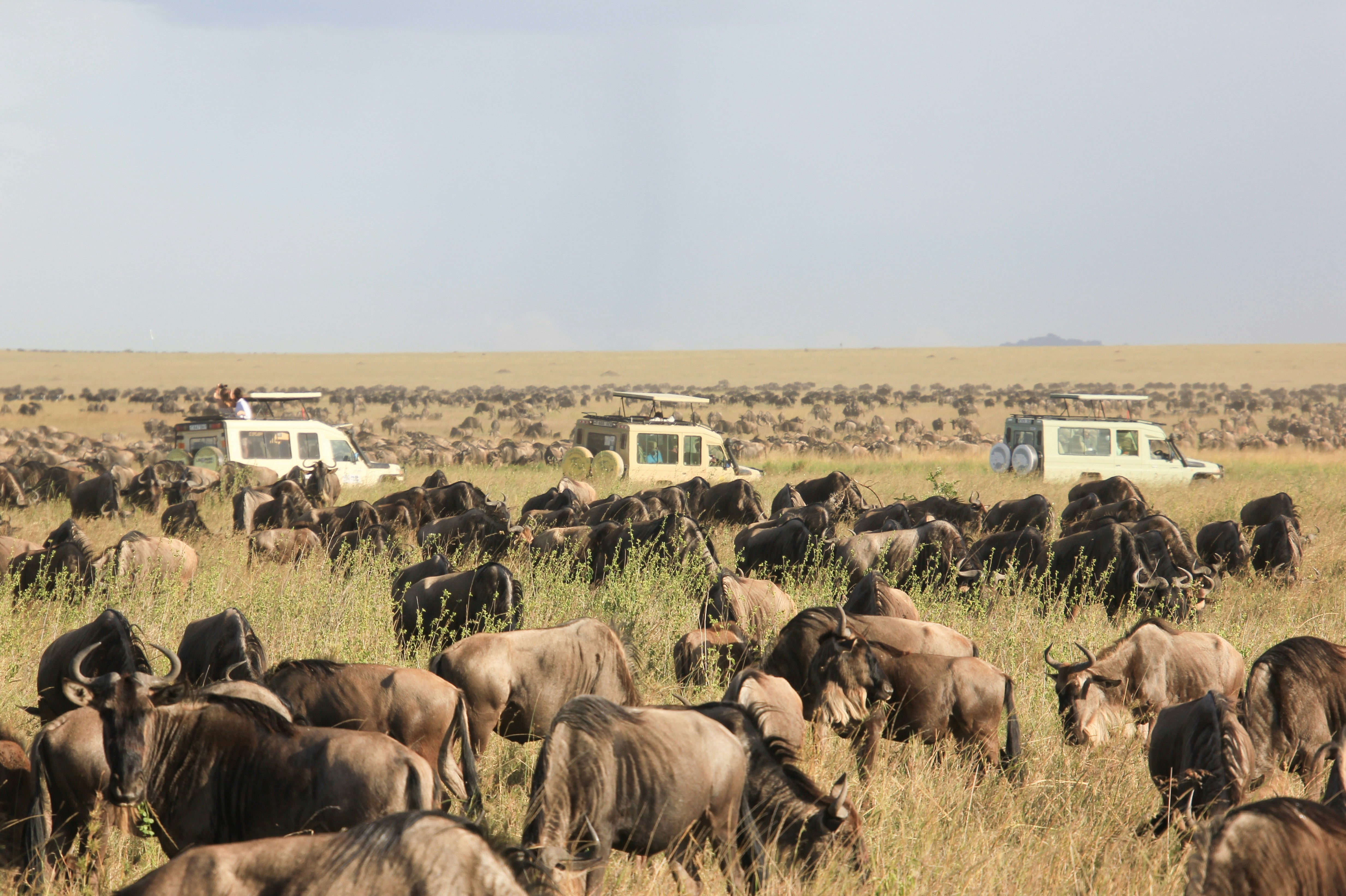 Tanzania