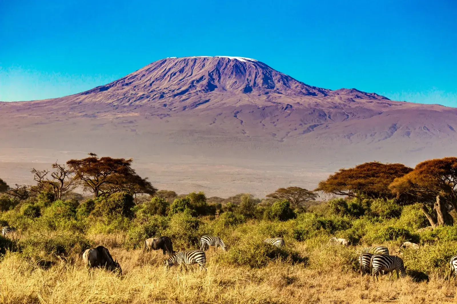 Tanzania Summit